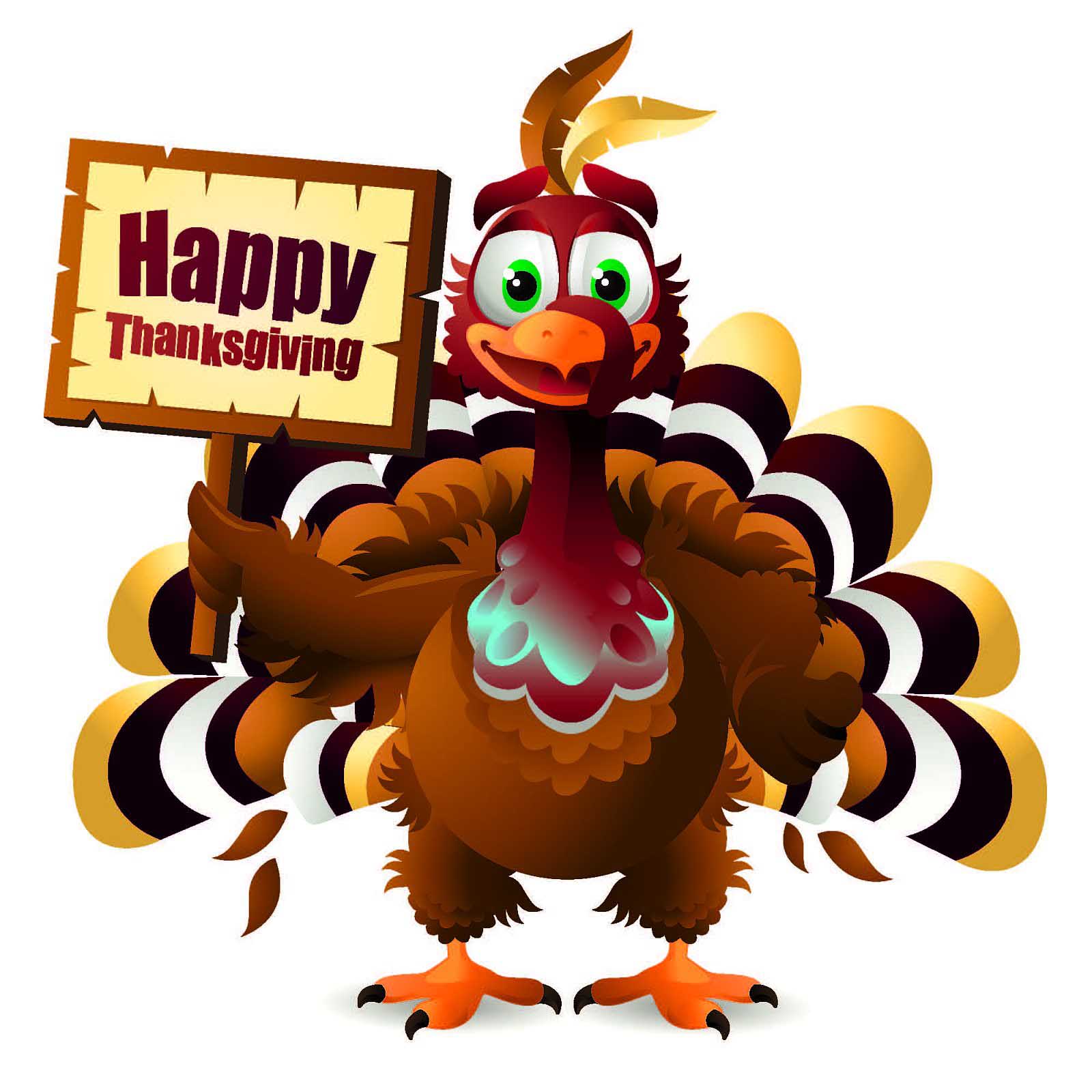Image result for thanksgiving turkey