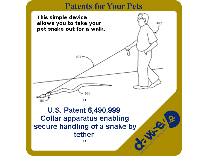 6,490,999 - SoundStarts Inc. - Collar apparatus enabling secure handling of a snake by tether
